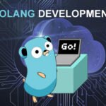 GoLang Development companies usa india