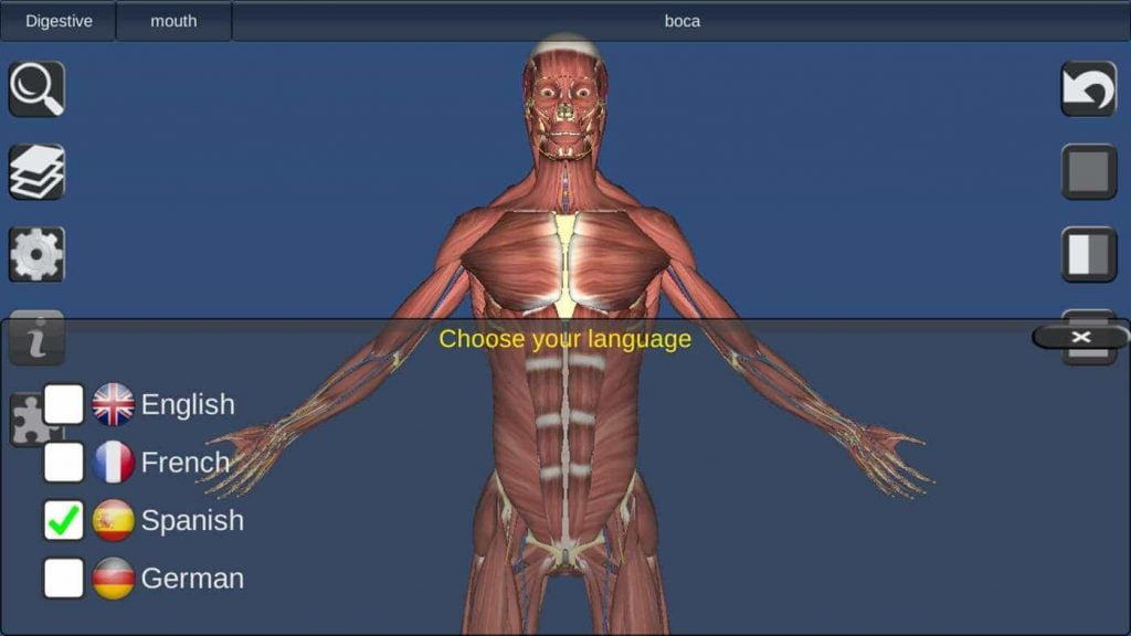 The-top-5-3D-anatomy-software-tools