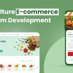 Developing a B2C Agriculture E-commerce Platform
