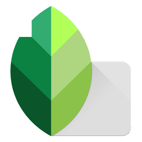 Snapseed is a complete and professional photo editor developed by Google.
